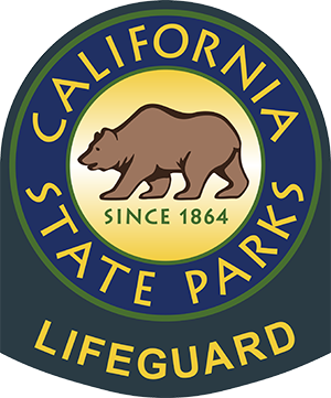 Lifeguard Patch Logo